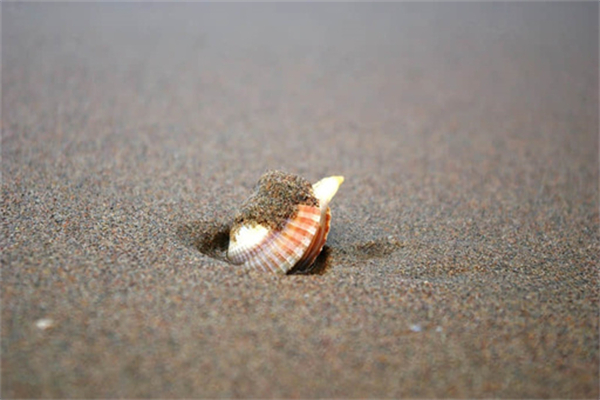 不期而遇的温暖记叙文600字