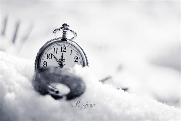 我的学校作文350字