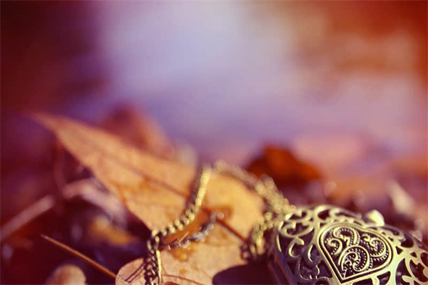 贪吃的小仓鼠作文300字