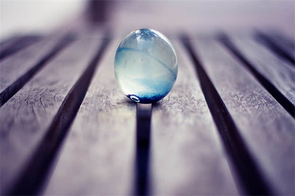 美丽的山茶花作文450字