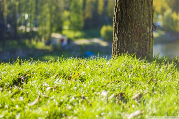 难忘老师的眼睛作文400字