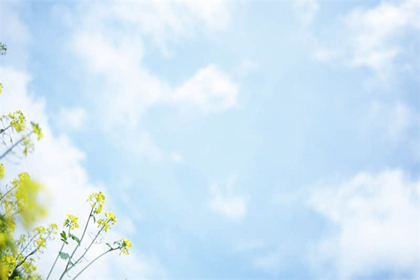 慕田峪长城之旅作文500字