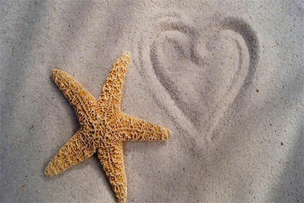 英模就在我身边作文800字