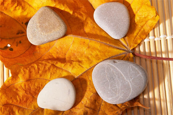 前进的路作文600字