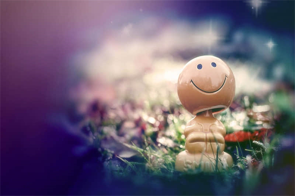 神奇的科学实验作文500字