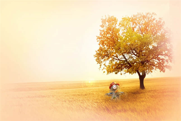 一个温暖的拥抱作文600字