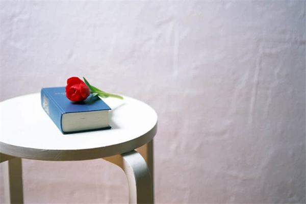 感谢你陌生人作文450字