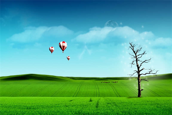 感谢您老师作文500字