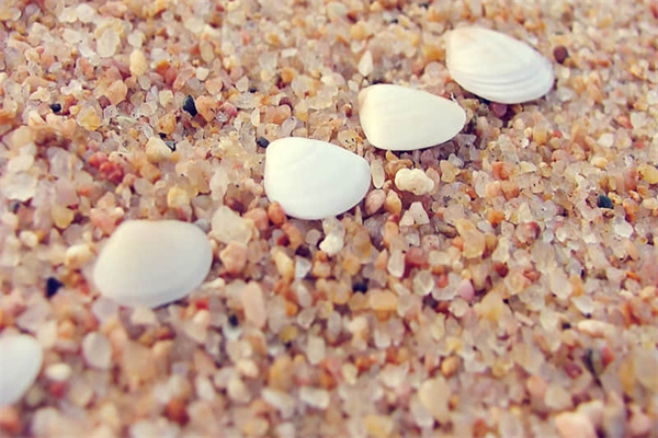 一个人在家作文800字