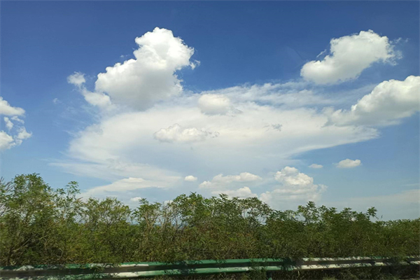 带电的报纸作文400字