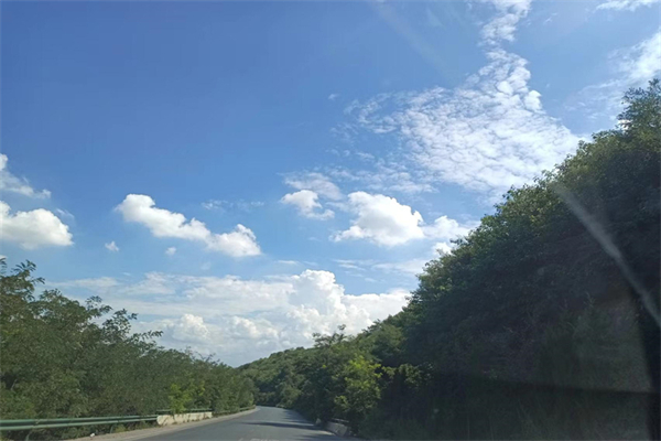 拿手好戏作文开头结尾