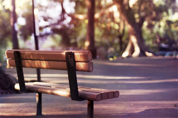 画鼻子作文600字