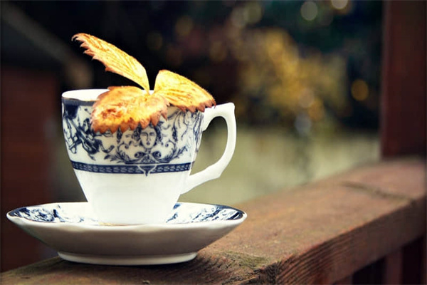 夜空中最亮的星作文600字