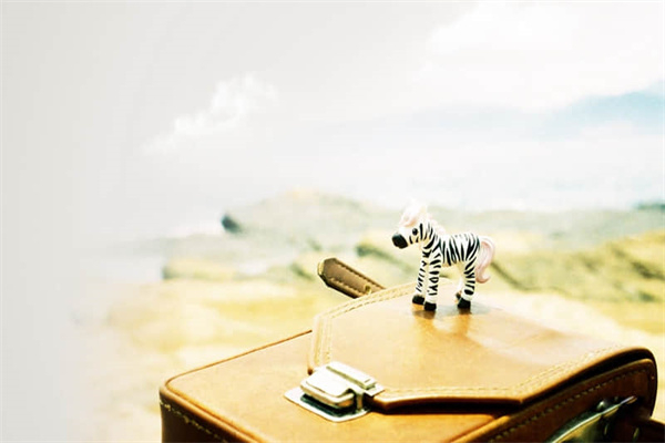 那一份渴望作文800字