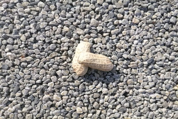 打水漂作文的细节描写